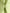 Vestido Loto Jade — Shantung de Seda